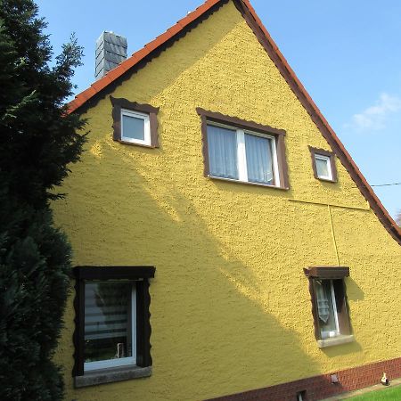 Ferienwohnung Sommer Friedrichsbrunn Dış mekan fotoğraf